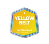 Lean Six Sigma Yellow Belt