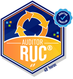 Auditor Interno en implementación del Sistema de Gestión en Seguridad, Salud en el Trabajo, Ambiente para contratistas RUC®
