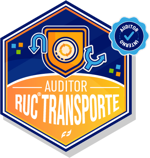 Auditor Interno en Sistema De Gestión De Seguridad, Salud En El Trabajo, Ambiente Y Seguridad Vial Para Contratistas Del Sector Transporte Ruc®