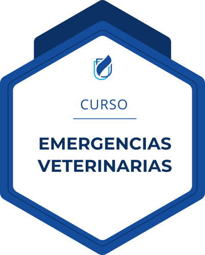 Imagen de la credencial