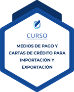 Curso Medios de Pago y Cartas de Crédito para Importación y Exportación