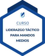 Curso Liderazgo Táctico para Mandos Medios