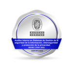 Auditor interno ISO/IEC 27001:2022