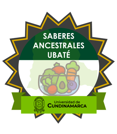 Imagen de la credencial