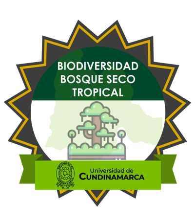 Imagen de la credencial