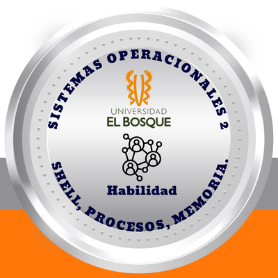 Fundamentos en la gestión de sistemas operativos, específicamente en la programación Shell, la administración de procesos y la gestión de memoria.