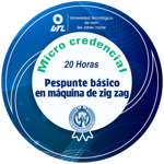 Pespunte básico en máquina de zigzag