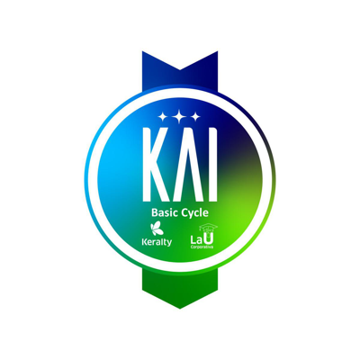 KAI Digital Specialist: Advanced Prompting, Google Workspace, and Gemini (Basic Cycle)