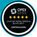 Lean Six Sigma Green & Black Belt