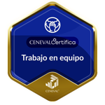 CER-TRABAJO EN EQUIPO-Nivel Avanzado