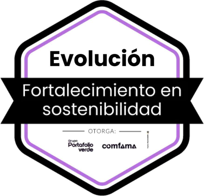 Evolución