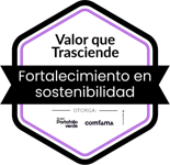 Valor que Trasciende