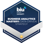 Business Analytics Mastery: Data-Driven Strategy