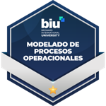 Modelado de Procesos Operacionales
