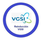 Reinducción Vicepresidencia Global de Sistemas de Información