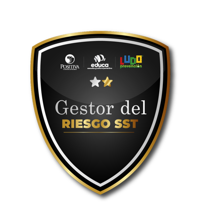 Fase 2 Ludoprevencion: Gestor del riesgo SST.