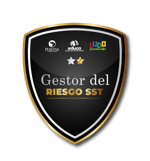 Fase 2 Ludoprevencion: Gestor del riesgo SST.
