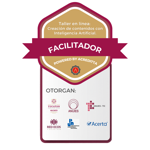 Facilitador Taller IA Docentes
