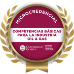 Competencias Básicas para la Industria Oil & Gas