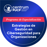 Programa de Especialización en Estrategias de Gestión en Ciberseguridad para Organizaciones