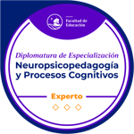 Experto en Neuropsicopedagogía