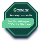 Gestion de riesgos en OT (Sector eléctrico)