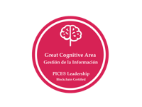 Competencia GESTIÓN DE LA INFORMACIÓN - Acreditación PICE®