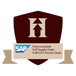 Curso avanzada SAP Supply Chain - S/4HANA Private Cloud