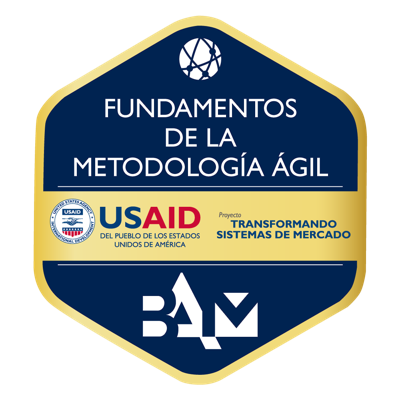 Fundamentos de la Metodología Ágil - TMS