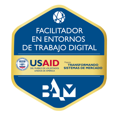 Facilitador en entornos de trabajo digital - TMS