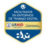 Facilitador en entornos de trabajo digital - TMS