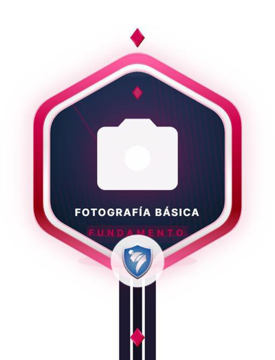 Imagen de la credencial