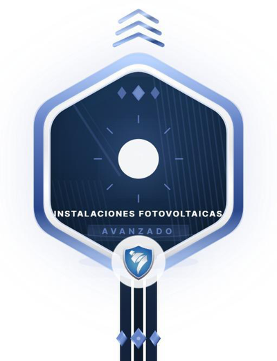 Imagen de la credencial