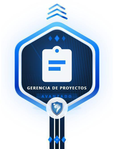 Imagen de la credencial
