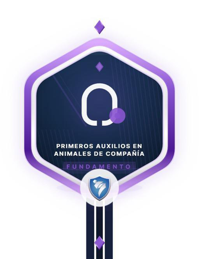 Imagen de la credencial