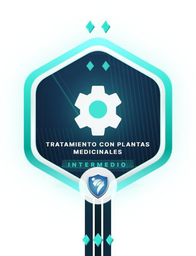 Imagen de la credencial