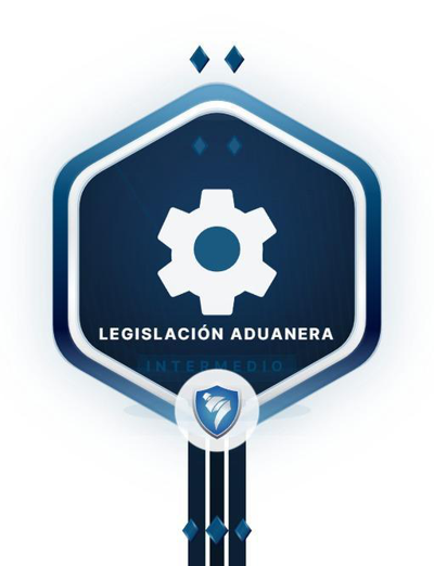 Imagen de la credencial
