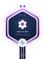 Analitica Web