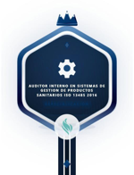 Auditor Interno en Sistemas de Gestion de Productos Sanitarios Iso 13485 2016