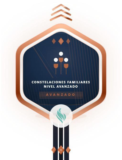 Imagen de la credencial