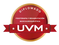Fisioterapia y Rehabilitación Musculoesquelética
