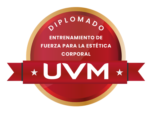 Entrenamiento de Fuerza para la Estética Corporal