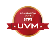 Constancia DC-3 STPS