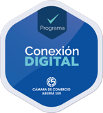 Seminario Conexión Digital: Introducción al Diseño de Páginas Web y Ecommerce que Generan Ventas