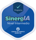 SINERGIA Nivel Intermedio – IA Generativa