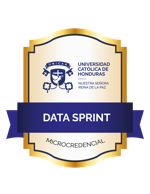 Data Sprint Practitioner