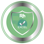 Experto en  Excel