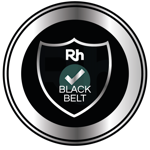 Certified Lean Six Sigma Black Belt