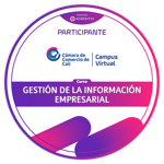 Gestión de la información empresarial