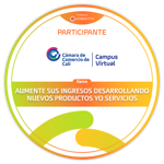 Aumente sus ingresos desarrollando nuevos productos y/o servicios